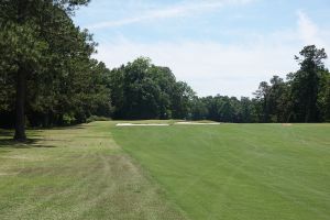 Palmetto 3rd Fairway